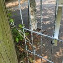 신나개 | 뛰는 덕평자연휴게소 반려견 쉼터, 진돗개 베리의 리얼 후기 [강릉/평창방향] #덕평자연휴게소 #반려견...