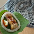수월풍천장어 | [대전 읍내동] 대전장어맛집 100% 국내산 자포니카 민물장어 수월풍천장어 솔직 리뷰 후기