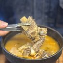 경기도 수원시 영통구 인계로 | 수원 매탄동 맛집 히밥이 다녀간 해정남옥 육전 해장국 후기