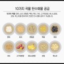 프로틴스토리