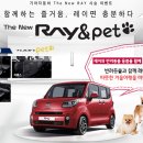 레이펫 이미지