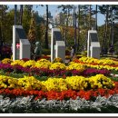 평화공원 내 이미지