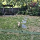 땡구야놀자 이미지