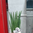 아중안골파워복싱 이미지