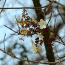 함평자연생태공원 이미지