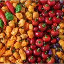 고운슈퍼 이미지