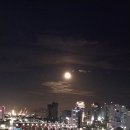 아르떼뮤지엄 이미지