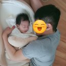 꿀잠:실