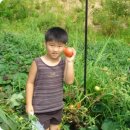 윤호농장 이미지