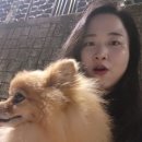 서울준동물병원 이미지