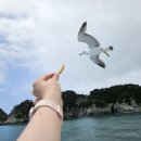 남해-246 이미지