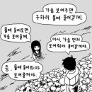 인생보쌈 이미지