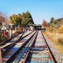 달리는커피아중점 | [전주] 아이와 함께 하기좋은 가을 액티비티 추천, 레일바이크 후기