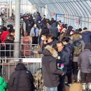 평창송어축제 이미지