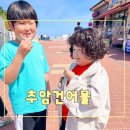 추암건어물 네이버블로그