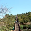 제주 올레길 8코스 이미지