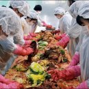 김치스쿨 이미지