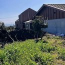 제주섬마리 | 우리 댕댕이랑 떠나는 제주 꿈의 섬, 우도 펜션 완벽 예약 꿀팁!