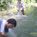 태안사계곡 이미지