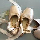 성인 토슈즈 이미지