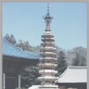 월정사 - 1011 | 월정사