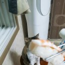 부라보마트 이미지