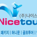 주식회사 나이스개발 이미지