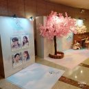 4월은 너의 거짓말 관극 후기 카오리 료타 츠바키 무대장치