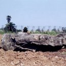 도련지석묘 1호 이미지