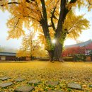 전주향교 이미지