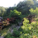 미숭산자연휴양림 이미지