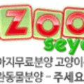 강아지분양애견분양애완견펫무료입양분양샵