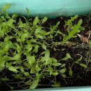 몰라서 미안하구나 이미지