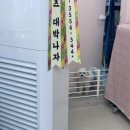 디어멍멍 이미지