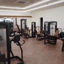 피트니아 이미지