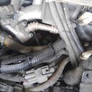 대동카클리닉 이미지