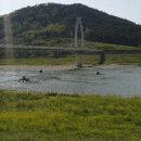 두꺼비상사 이미지