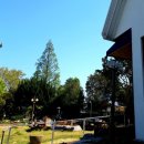 바다양푼이동태탕(목포터미널점) 이미지