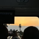 스카이애견 이미지