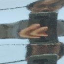 한마음자동차정비 이미지