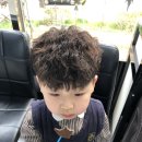 퍼니스핀 네이버블로그