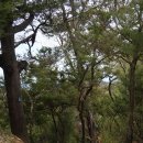 박성기 농장 이미지