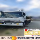 현대셀프 이미지