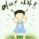 똘이애견