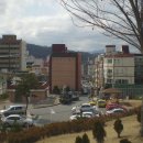 도계체육공원 게이트볼장 이미지