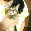 피정현 동물병원 | 피정현동물병원 보리첫번째 예방접종!!