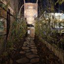 수림메디칼 이미지