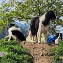 약산농장 이미지