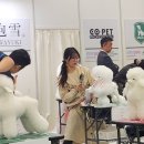 해피그루밍 이미지