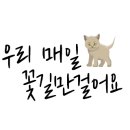 수연헤어 네이버블로그
